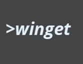 winget