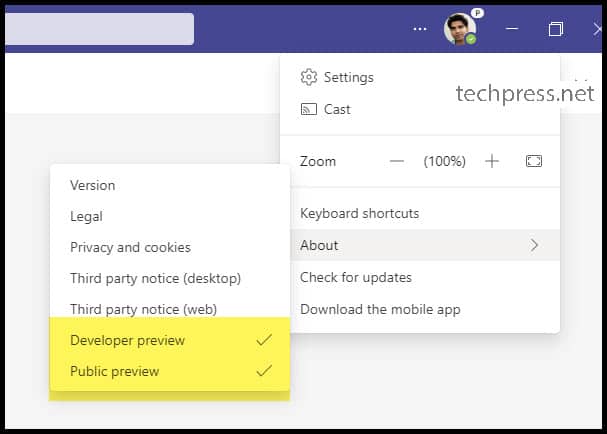 Verify Teams Preview Options