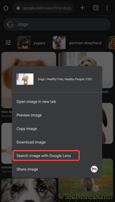 Search Images with Google Lens option in Chrome on an Android Phone