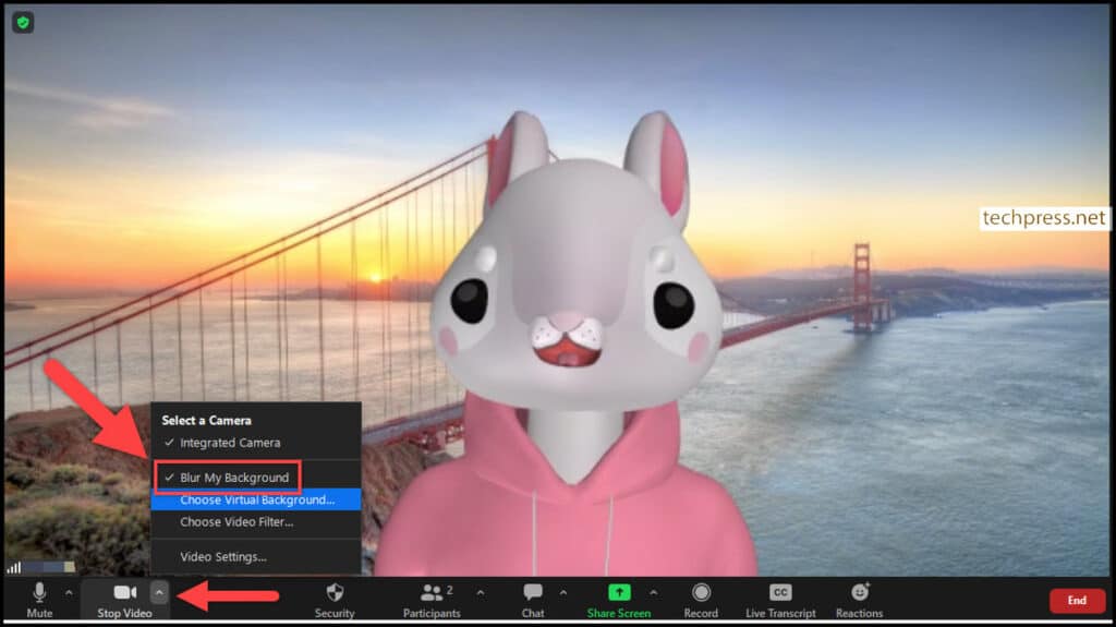 Zoom Blur My background option in Meeting