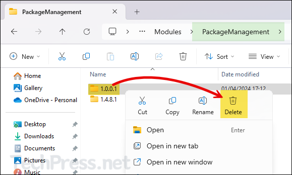 Delete 1.0.0.1 folder from Packagemanagement module folder