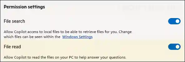 Copilot App File Read Permission Setting
