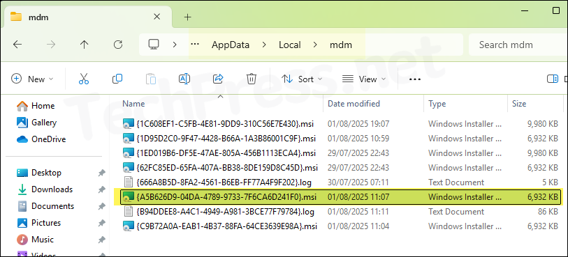 EPM Agent MSI file