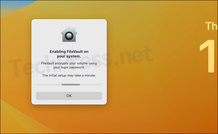 Enabling FileVault Window