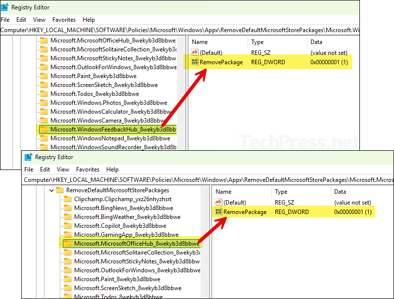 RemovePackage registry setting