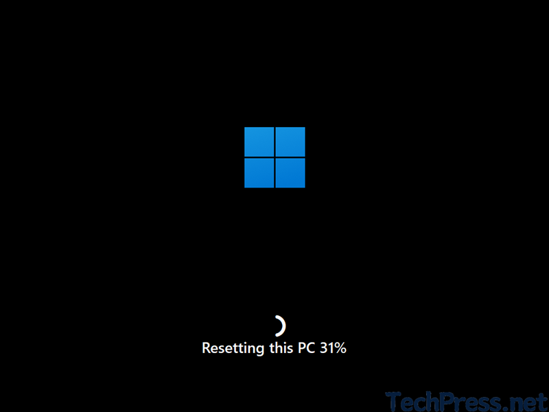 Resetting this PC screen