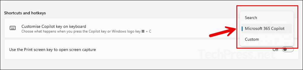 What does Customize Copilot key actually mean?